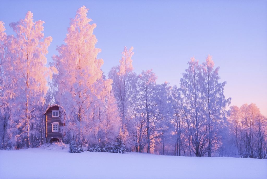 Frozen Landscape - iStock_000055009350_Medium